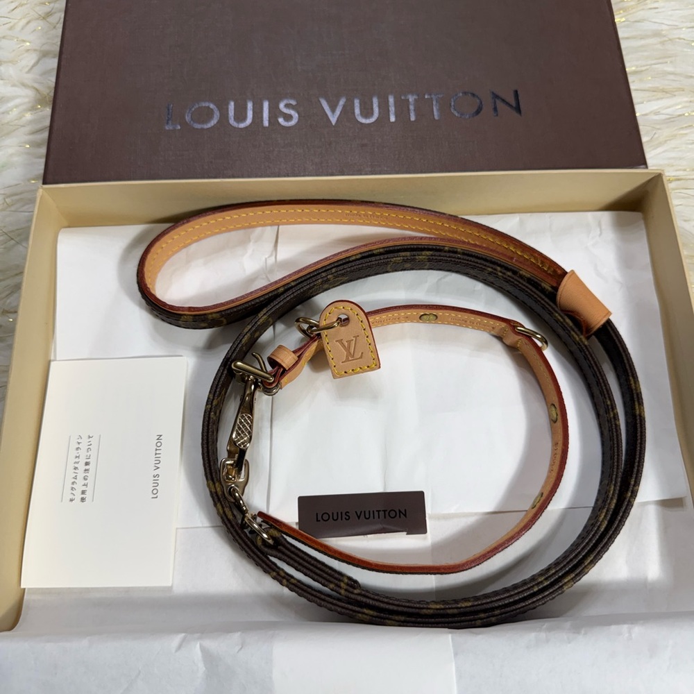 Louis Vuitton Baxter Collier Pm Dog or Cat Leash with box, Small - Medium